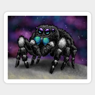 Bold Jumping Spider in Space Sticker